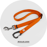 Ashbury Hands-Free Leash System/Color-Burnt Orange