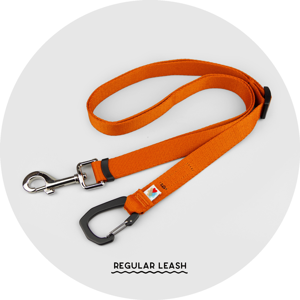 Ashbury Hands-Free Leash System/Color-Burnt Orange