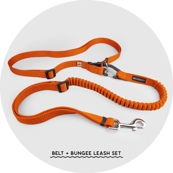 Ashbury Hands-Free Leash