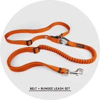 Ashbury Hands-Free Dog Leash