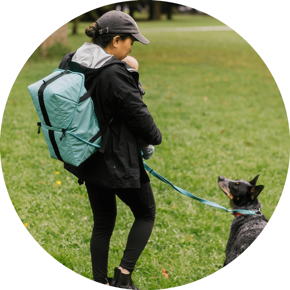 bernaly travel backpack Wildebeest Bernal Travel Go Bag