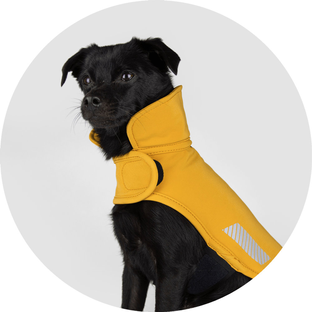 All Weather Dog Jacket