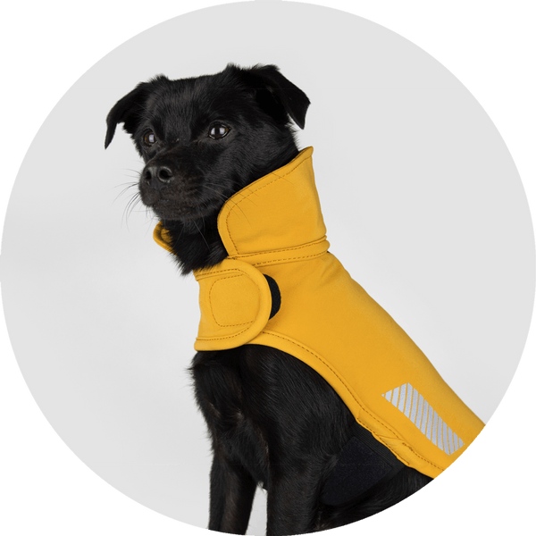 All Weather Dog Jacket