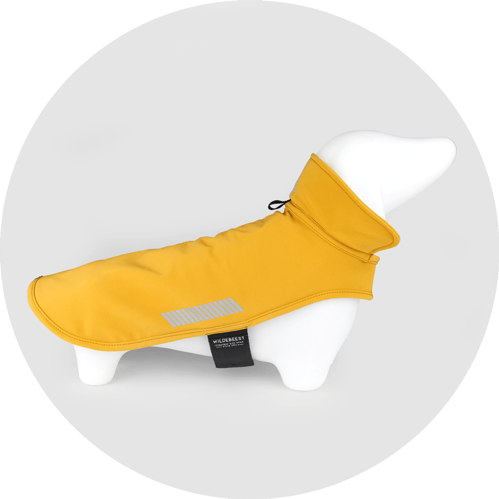 All Weather Dog Jacket