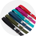 Funston Dog Leash/Color-Family