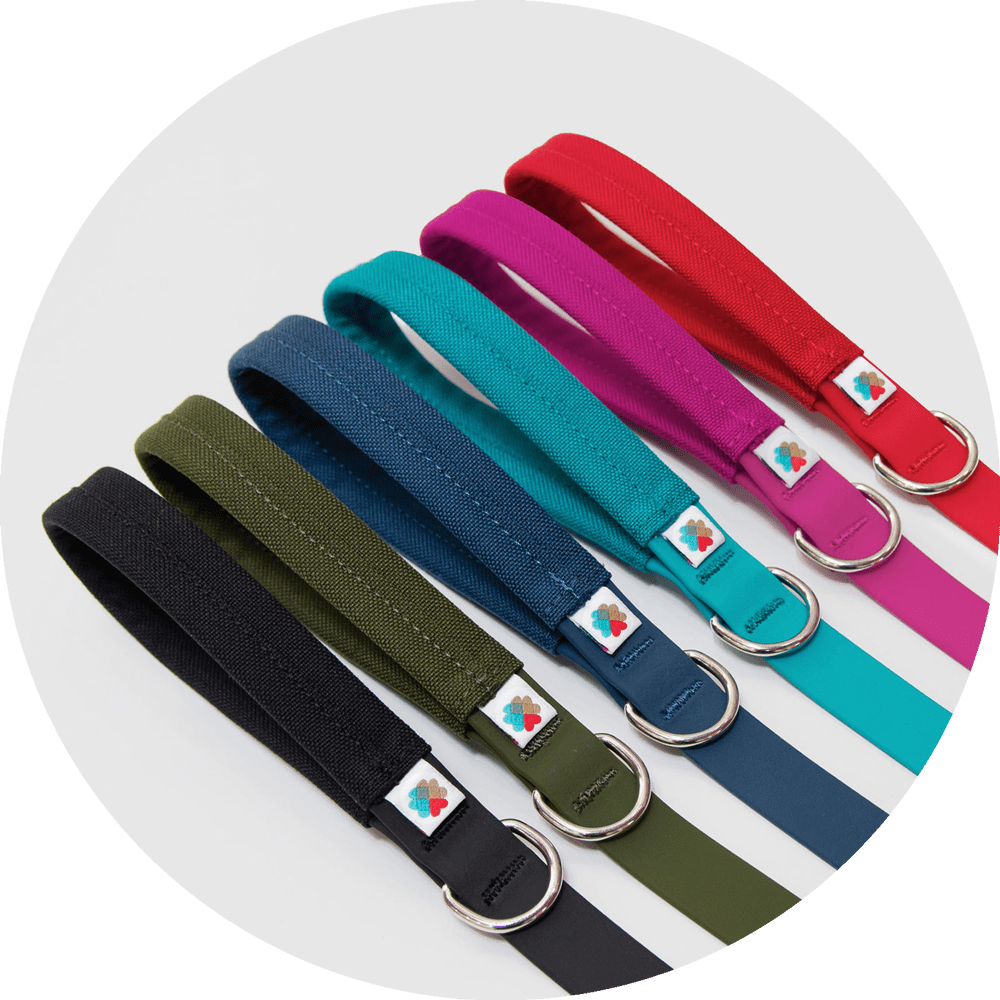 Funston Waterproof Dog Leash