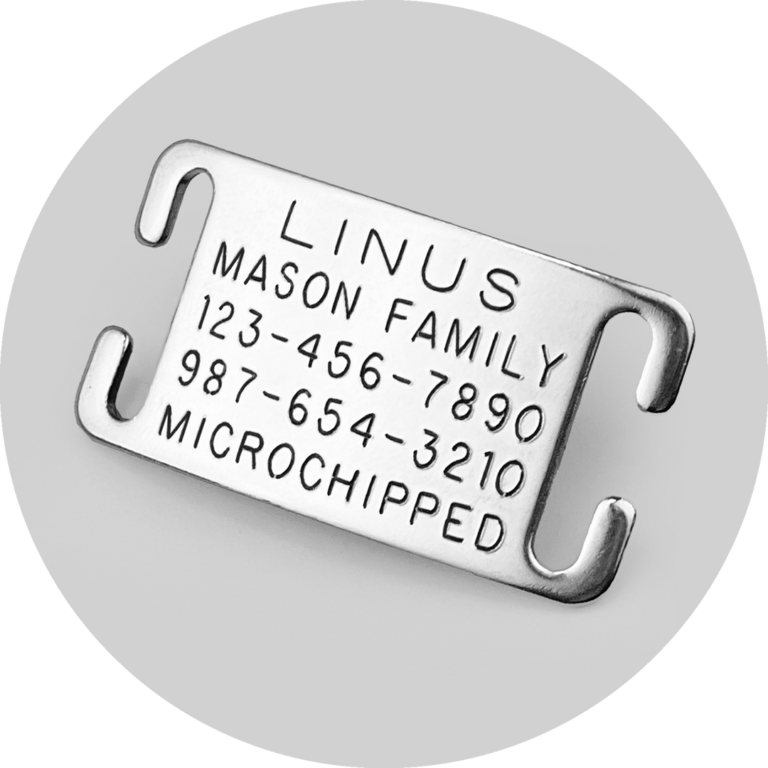 Custom Pet ID Tag