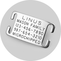 Custom Pet ID Tag