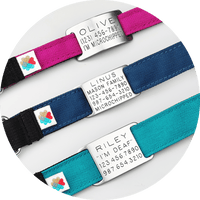 Custom Pet ID Tag