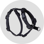 Valencia No Pull Dog Harness/Color-Black