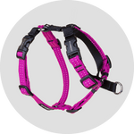 Valencia No Pull Dog Harness/Color-Fuchsia
