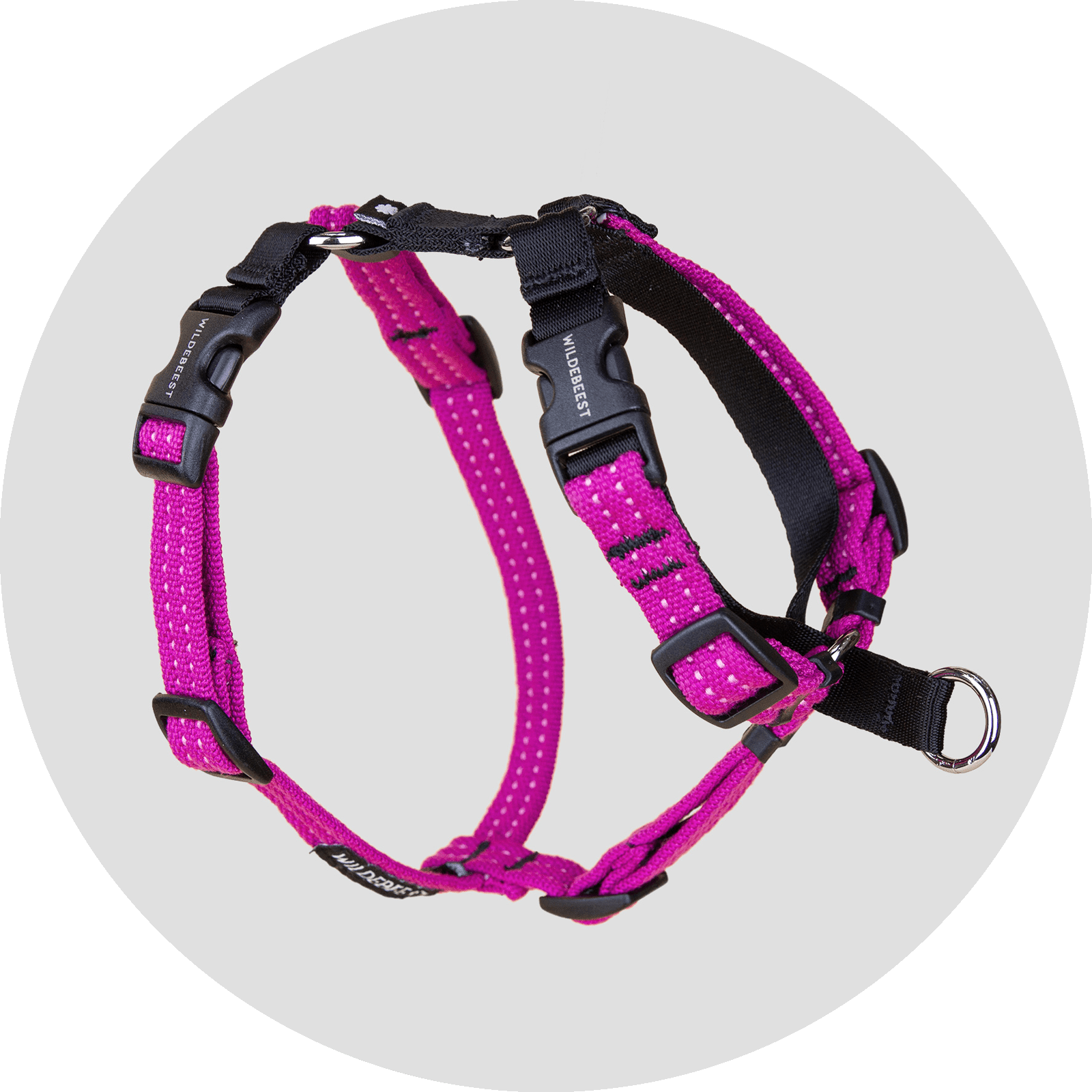 Valencia No Pull Dog Harness/Color-Fuchsia