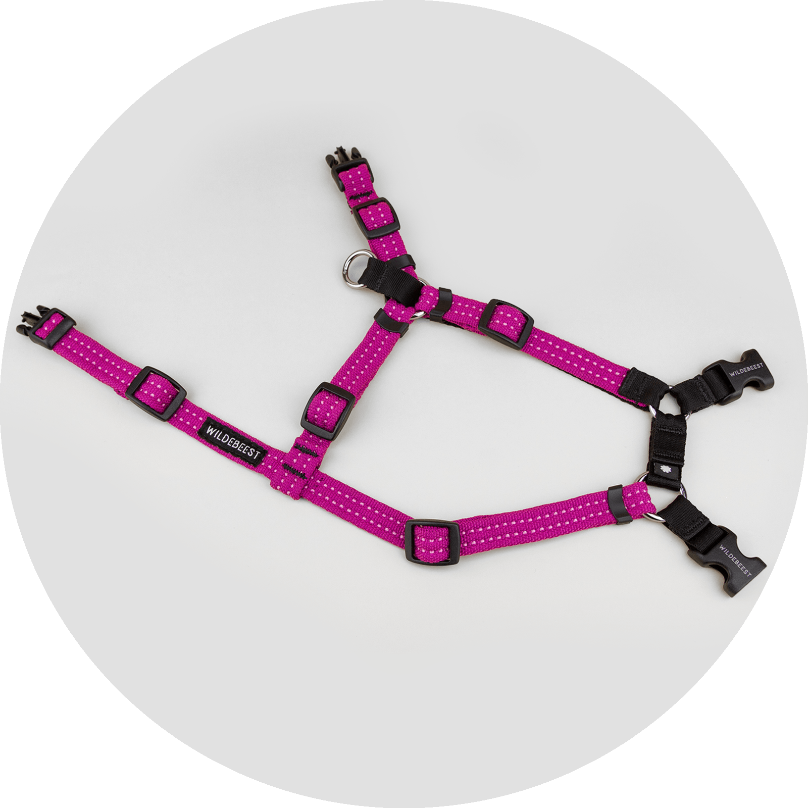 Valencia No Pull Dog Harness/Color-Fuchsia