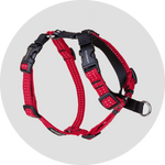 Valencia No Pull Dog Harness/Color-Red
