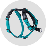 Valencia No Pull Dog Harness/Color-Turquoise