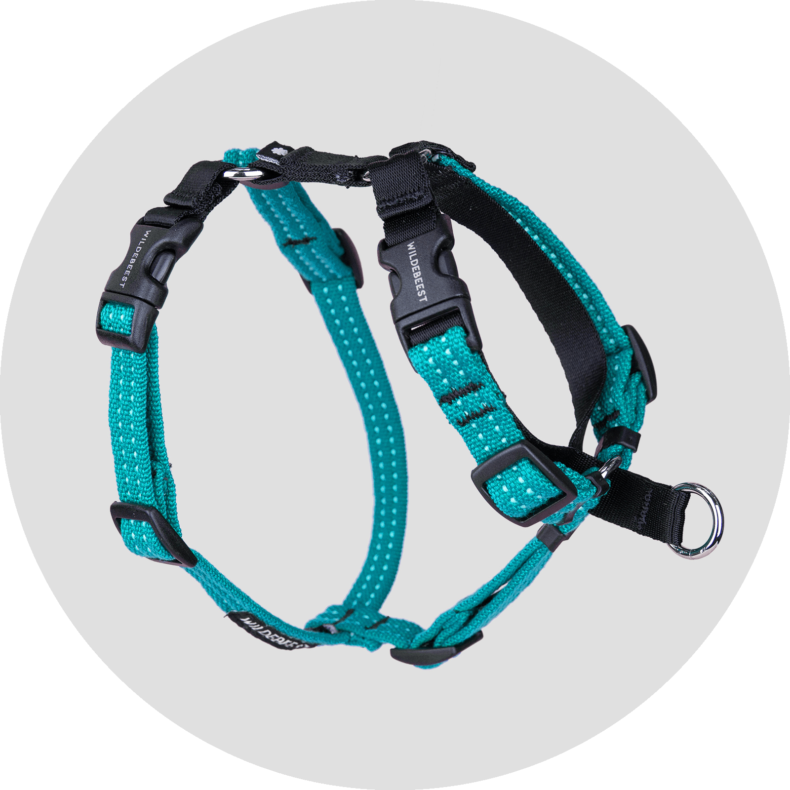 Valencia No Pull Dog Harness/Color-Turquoise