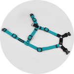 Valencia No Pull Dog Harness/Color-Turquoise