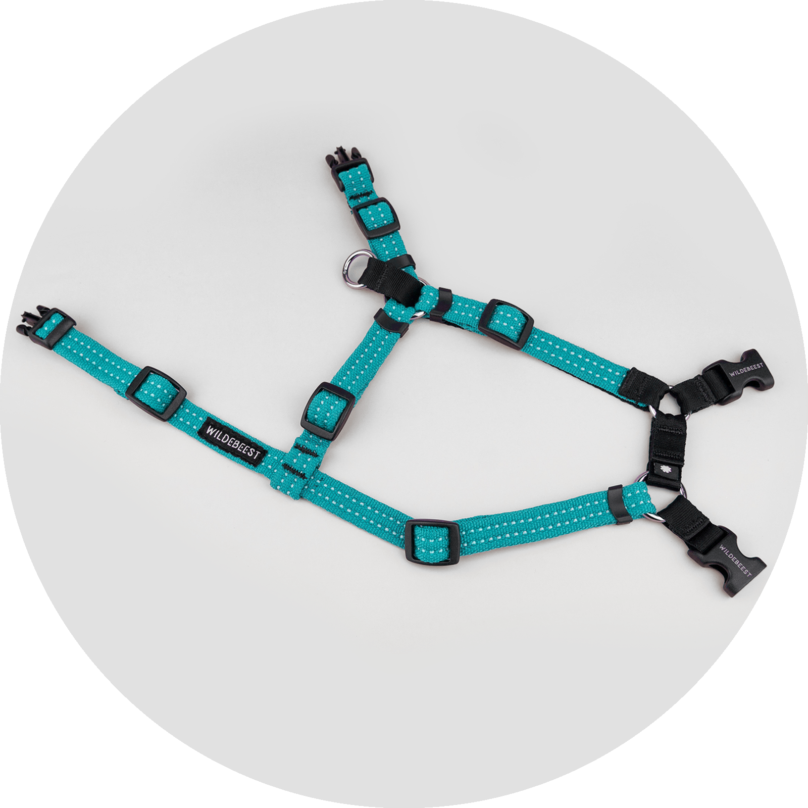 Valencia No Pull Dog Harness/Color-Turquoise