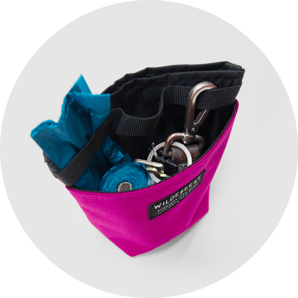 Dog treat top pouch magnetic