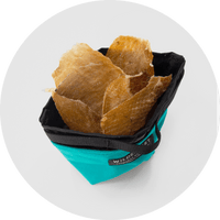 Alamo Dog Treat Pouch