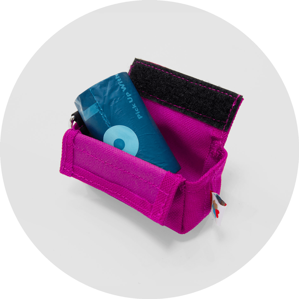 Funston Dog Starter Kit/Color-Fuchsia
