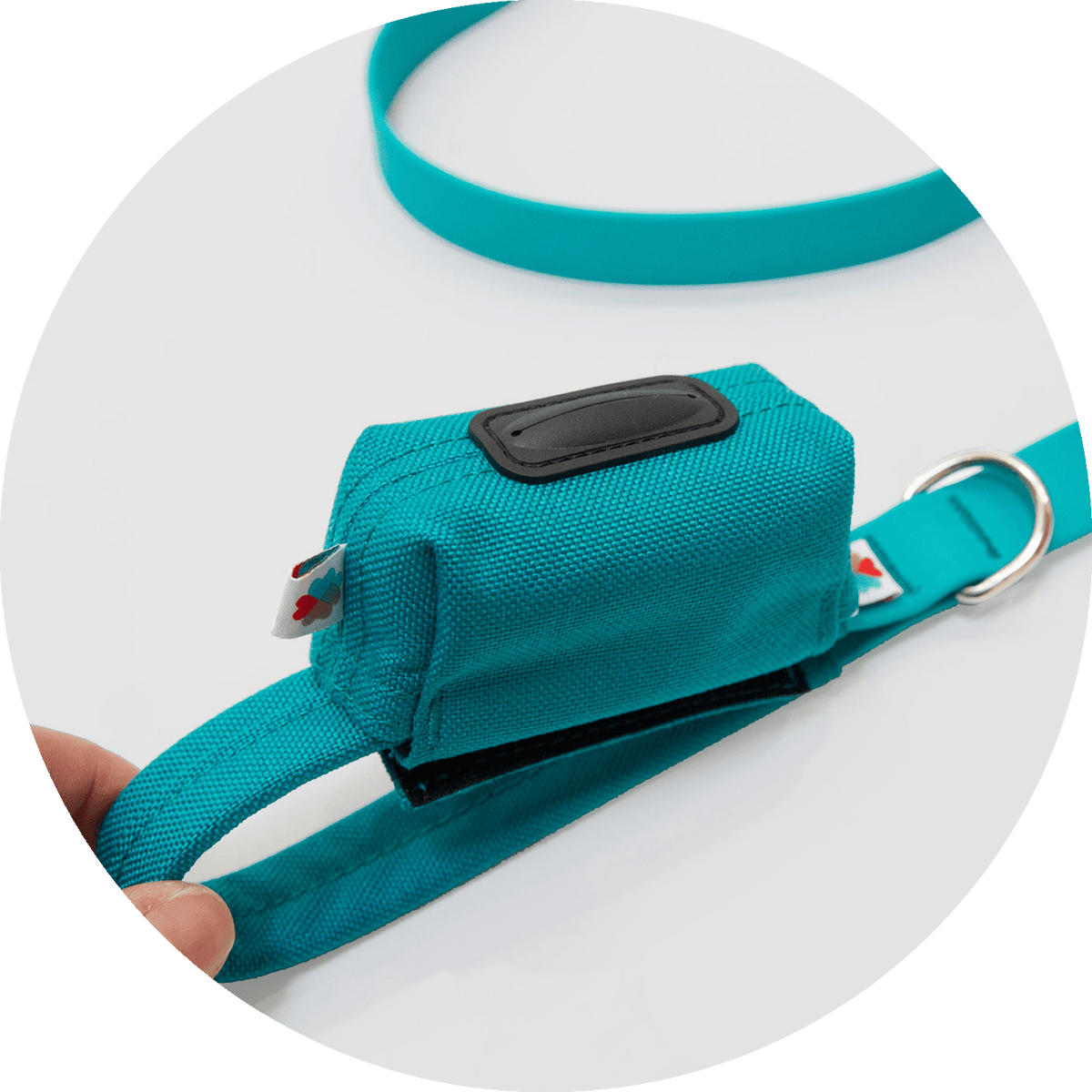 Funston Dog Baggie/Color-Turquoise