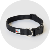 Funston Dog Collar