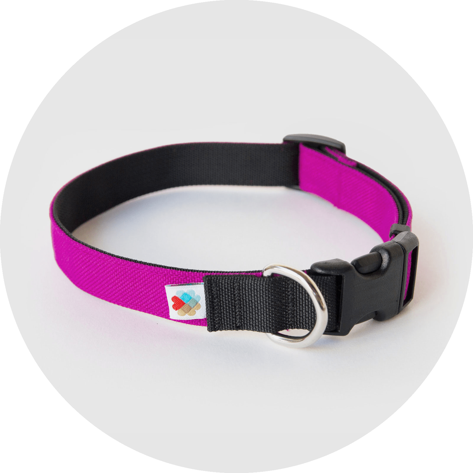 Funston Dog Collar/Color-Fuchsia
