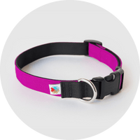 Funston Dog Collar