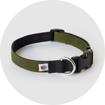 Funston Dog Collar/Color-Olive