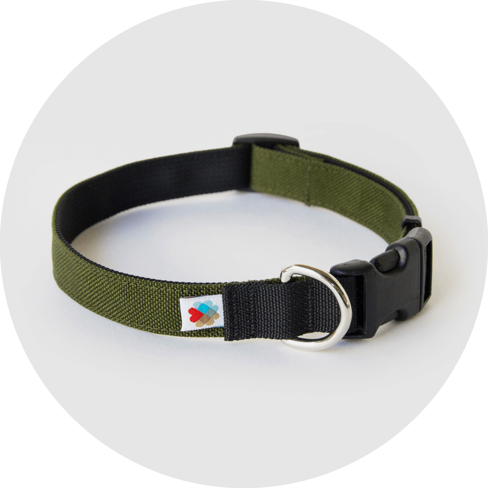 Funston Dog Collar/Color-Olive