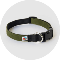 Funston Dog Collar