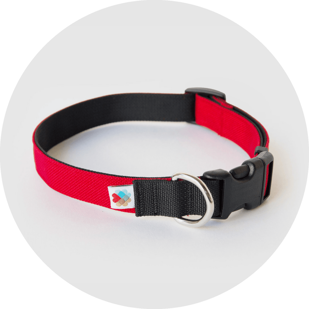 Funston Dog Collar/Color-Red