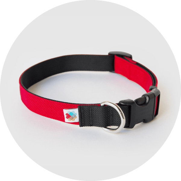 Funston Classic Collar