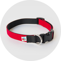 Funston Dog Collar