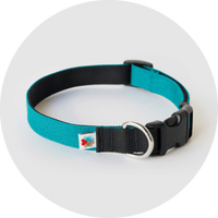 Funston Dog Collar