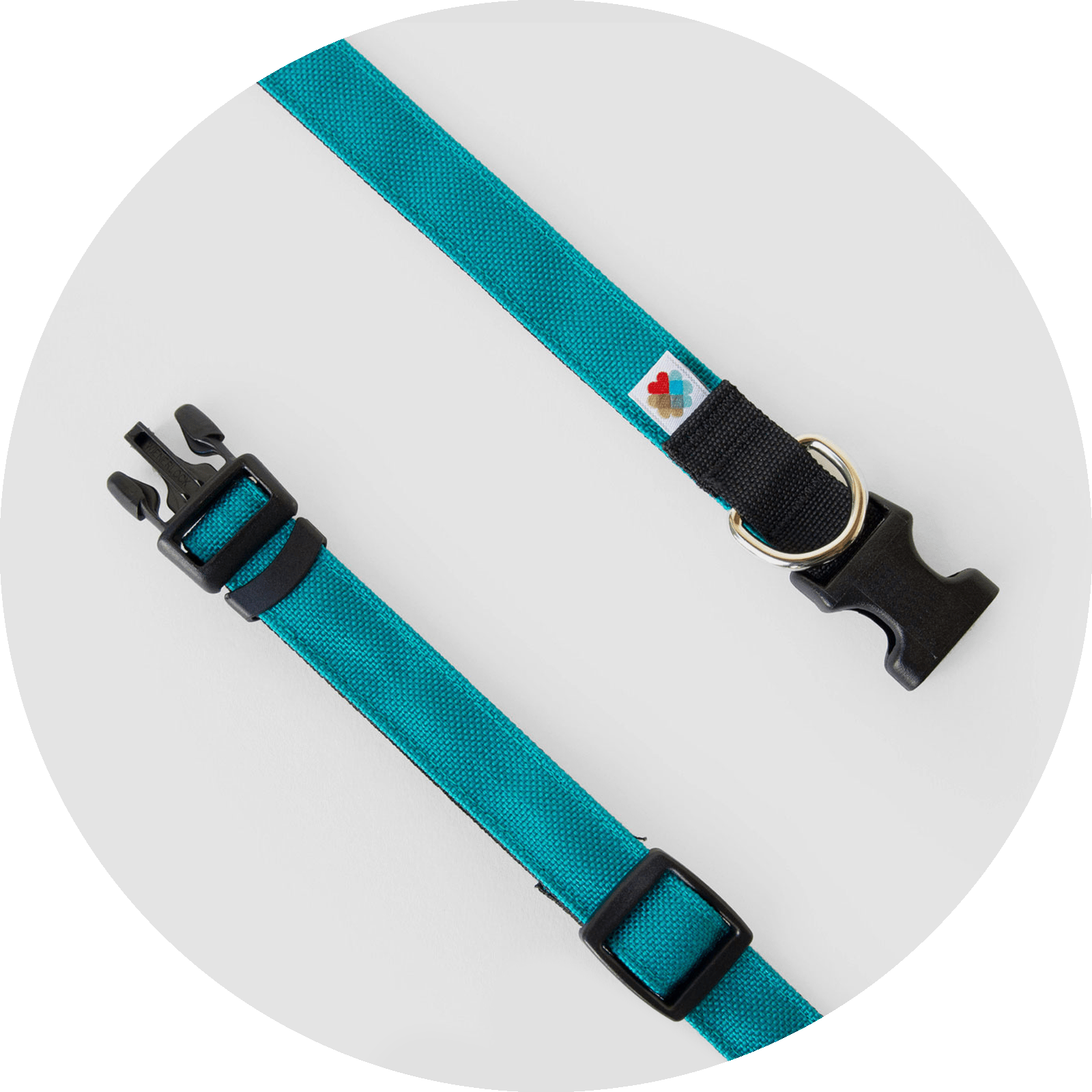 Funston Dog Collar/Color-Turquoise