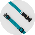 Funston Dog Collar/Color-Turquoise