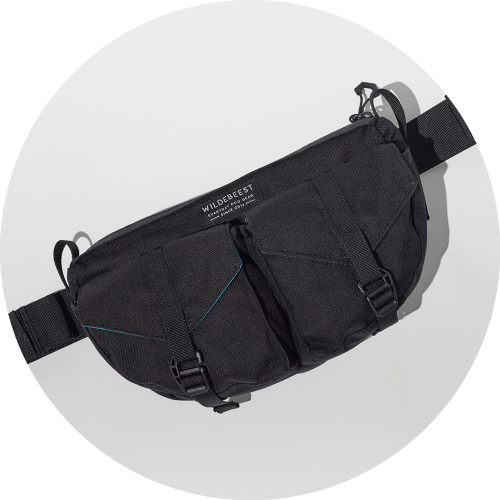 Farallon Dog Treat Pouch