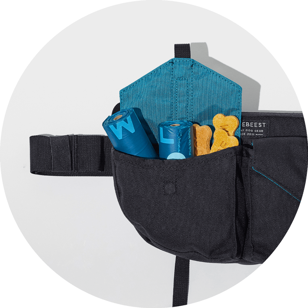 Farallon Dog Treat Pouch