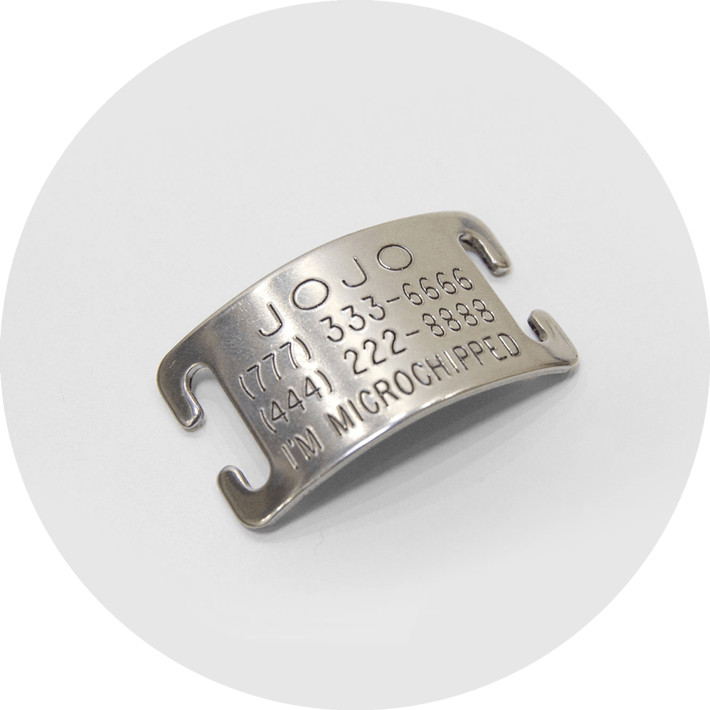 Dog clearance harness tags