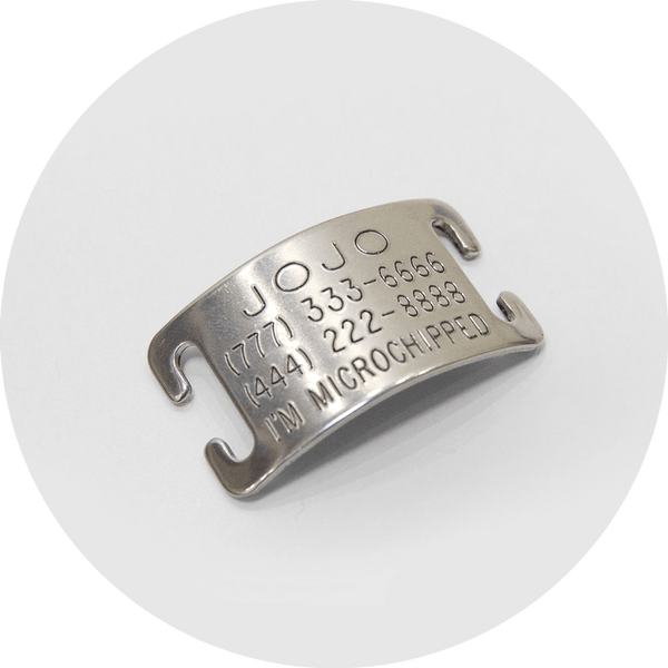 Stop dog tags from jingling discount