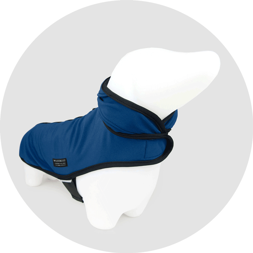 All Weather Dog Jacket/Color-Navy