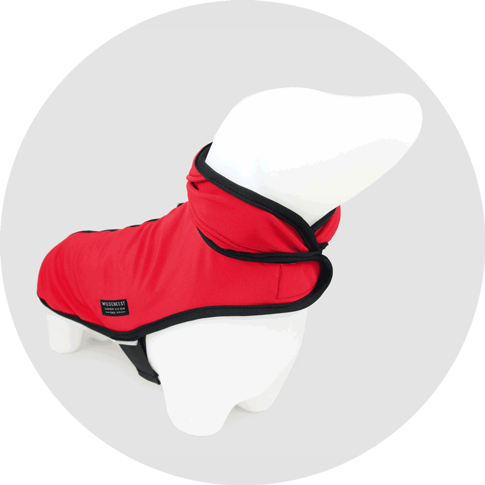 All Weather Dog Jacket/Color-Red