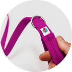 Funston Dog Leash/Color-Fuchsia