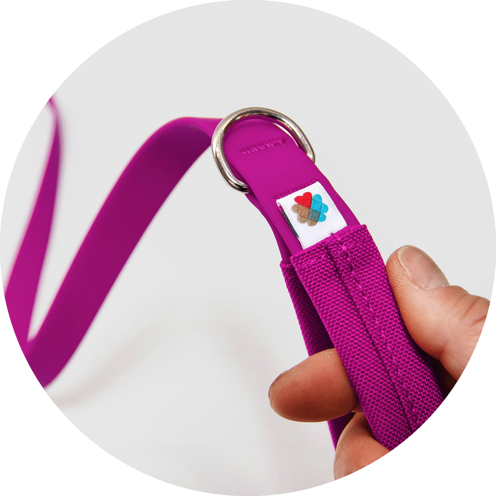 Funston Dog Leash/Color-Fuchsia