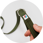 Funston Dog Leash/Color-Olive