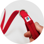 Funston Dog Leash/Color-Red