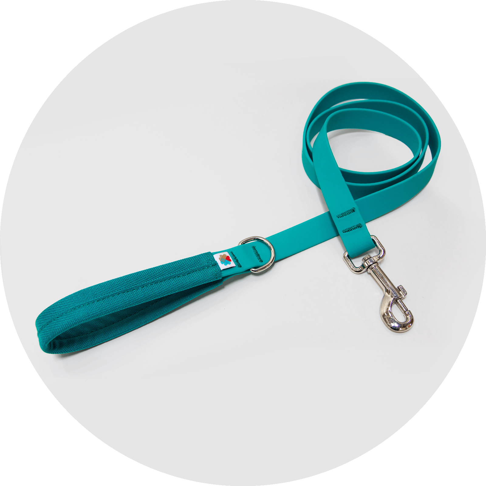 Funston Dog Leash/Color-Turquoise