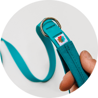 Funston Dog Leash